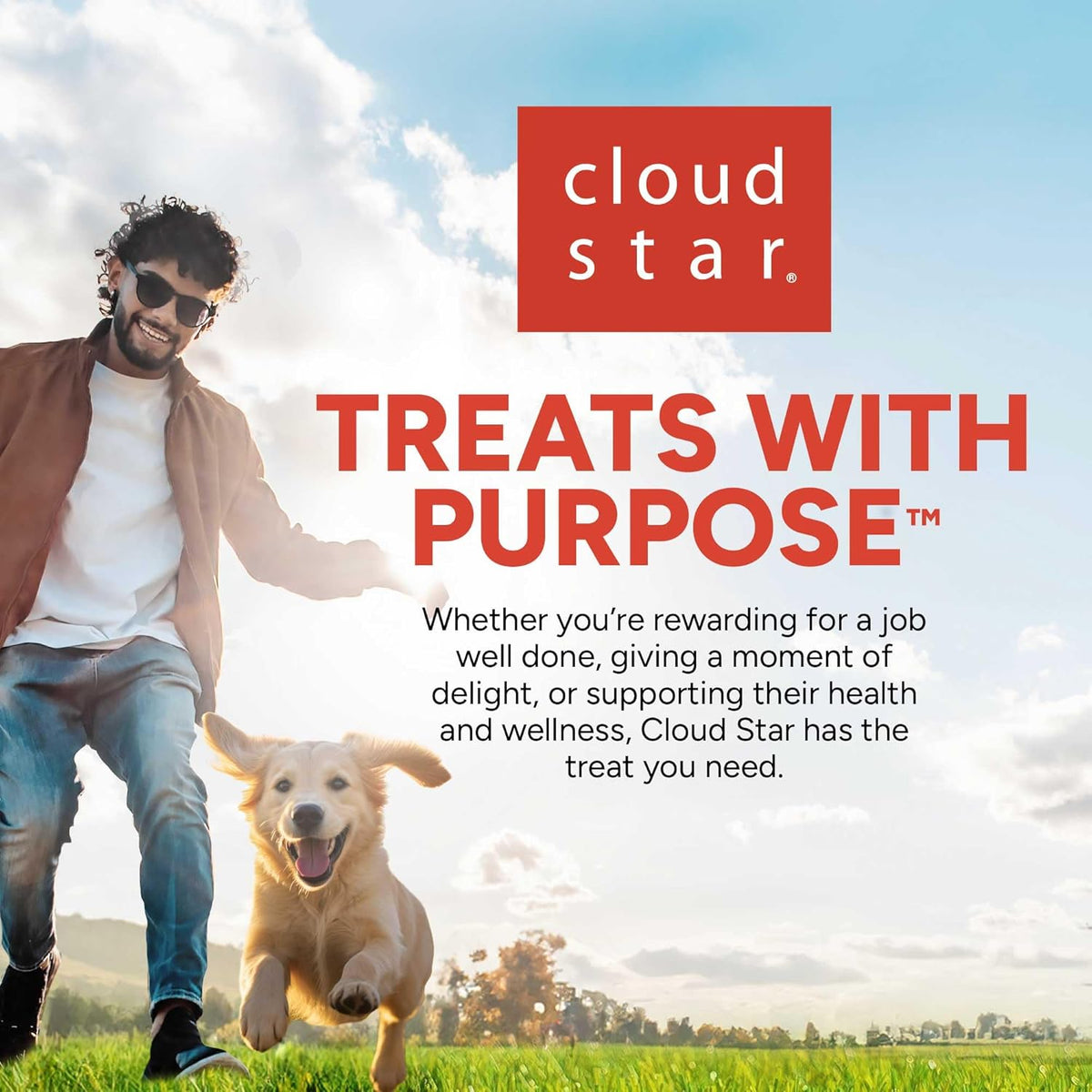 Pet Botanics Mini Training Rewards – Chicken Flavor, 500 Soft & Chewy Treats