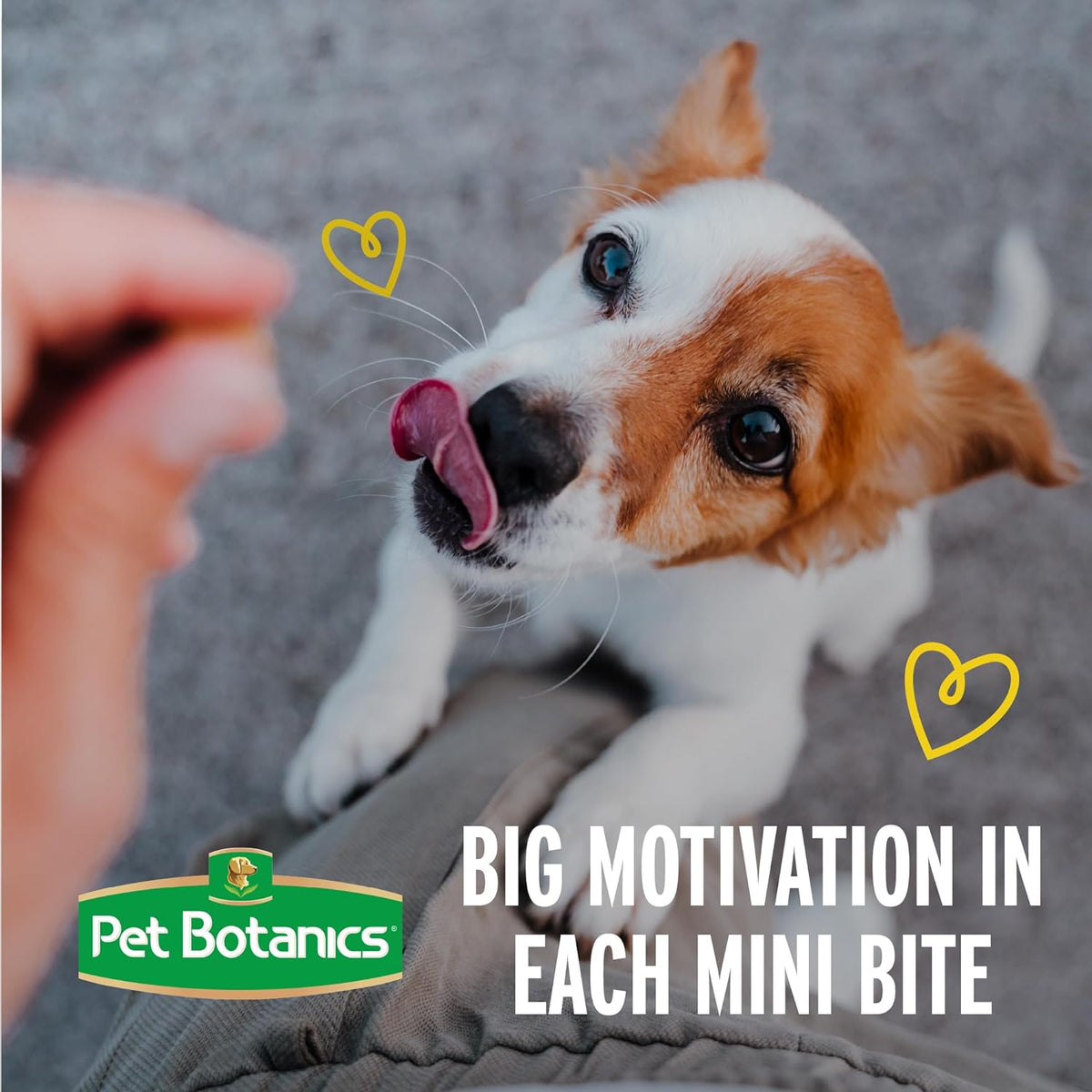 Pet Botanics Mini Training Rewards – Chicken Flavor, 500 Soft & Chewy Treats